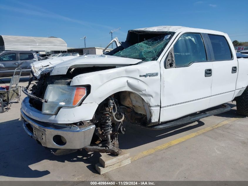 2014 FORD F-150 XLT - 1FTFW1EF2EKD70504