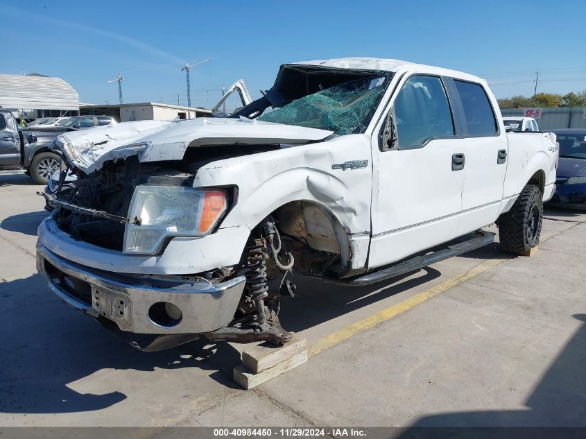 2014 FORD F-150 XLT - 1FTFW1EF2EKD70504