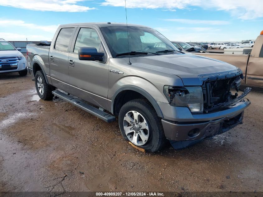 2013 FORD F-150 FX4 - 1FTFW1EF2DFA30065