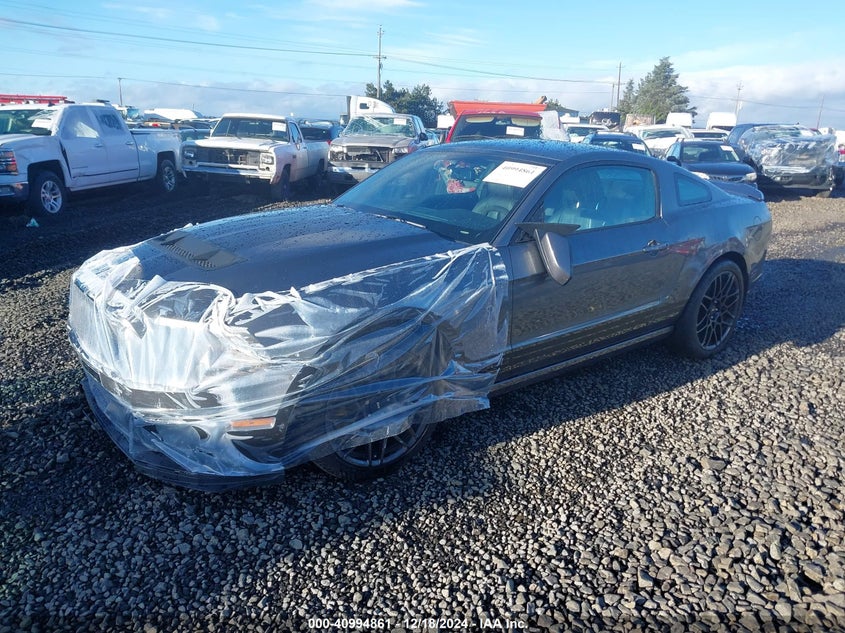 Vin: 1zvbp8jz7d5239910, lot: 41484744, ford shelby gt500 20132