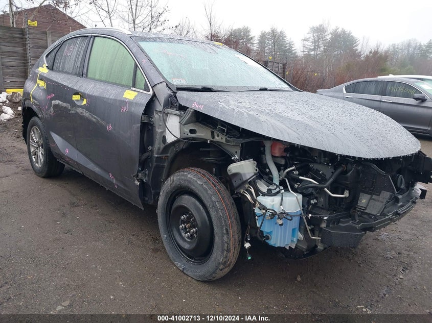 2018 LEXUS NX 300 - JTJBARBZXJ2151906