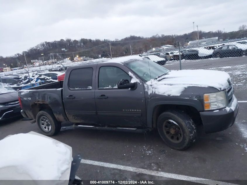 2010 Chevrolet Silverado 1500 Ls VIN: 3GCRKREA3AG195645 Lot: 41009774