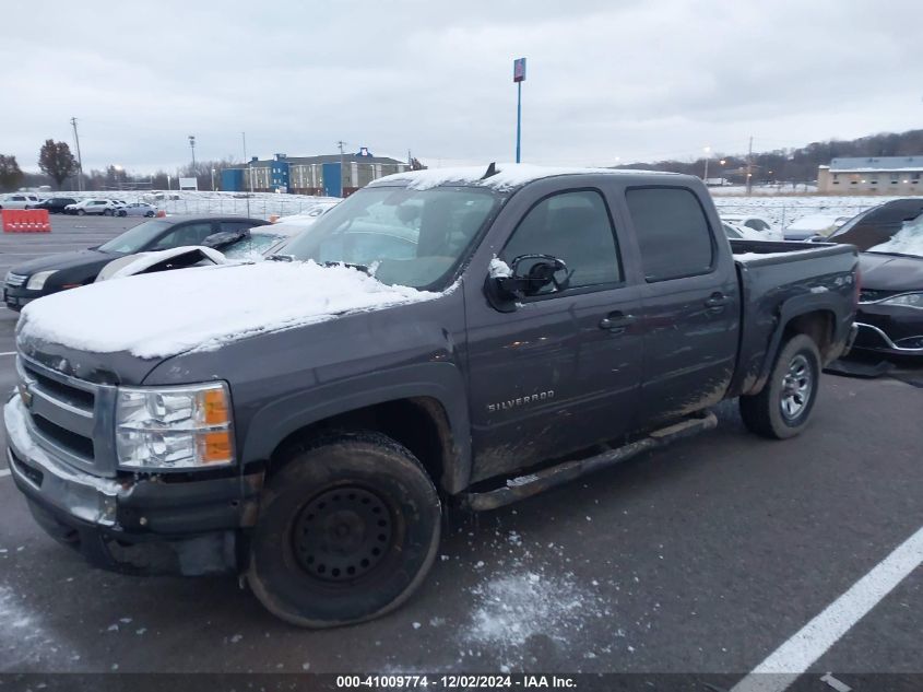 2010 Chevrolet Silverado 1500 Ls VIN: 3GCRKREA3AG195645 Lot: 41009774