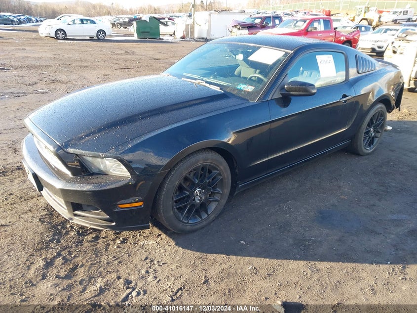 2014 FORD MUSTANG VIN: 1ZVBP8AM9E5287432