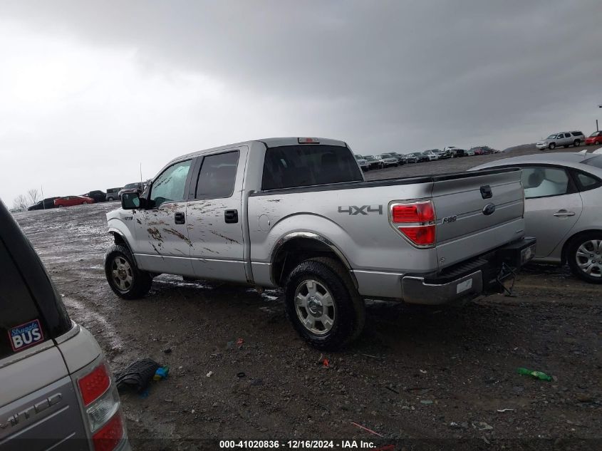 VIN 1FTFW1EF9DFB68279 2013 Ford F-150, Xlt no.13