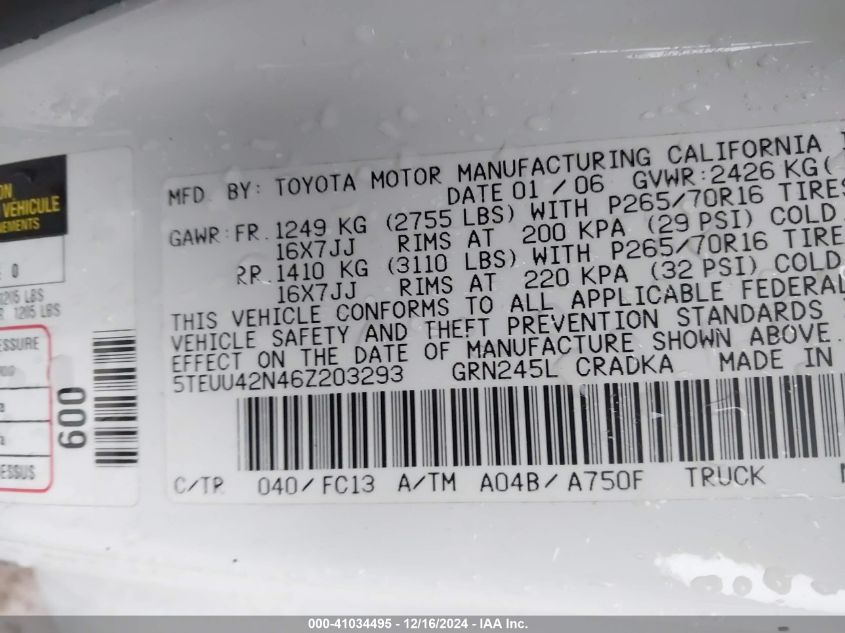 2006 Toyota Tacoma Access Cab VIN: 5TEUU42N46Z203293 Lot: 41034495