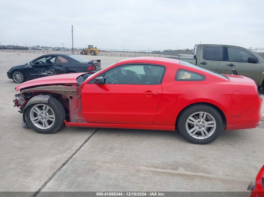 2013 FORD MUSTANG - 1ZVBP8AM3D5278840