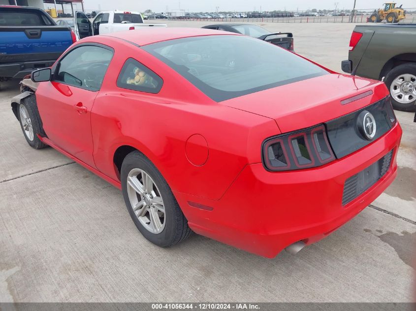 2013 FORD MUSTANG - 1ZVBP8AM3D5278840