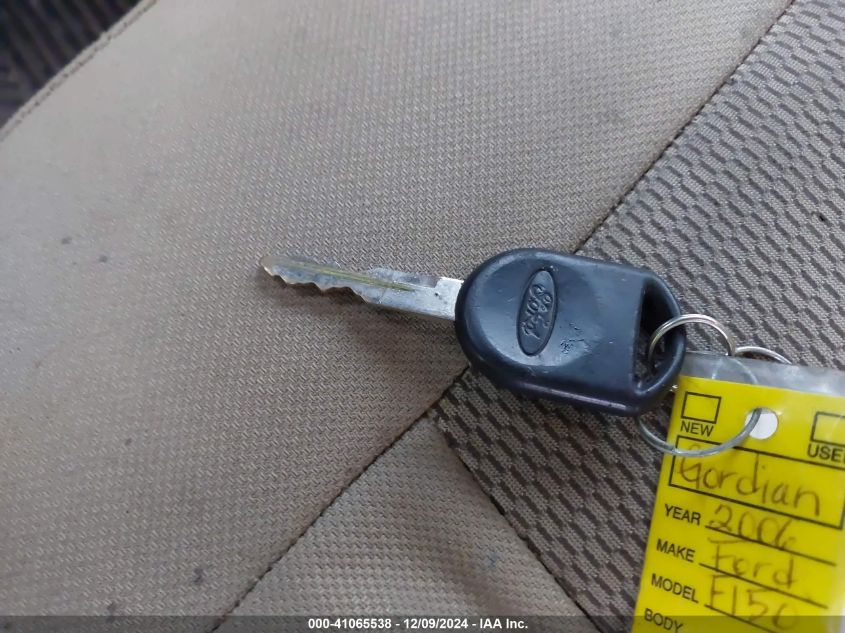 2006 Ford F-150 Stx/Xl/Xlt VIN: 1FTRF14W56NA69658 Lot: 41065538