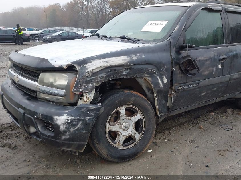 2003 Chevrolet Trailblazer Ls VIN: 1GNDS13S532353056 Lot: 41072204