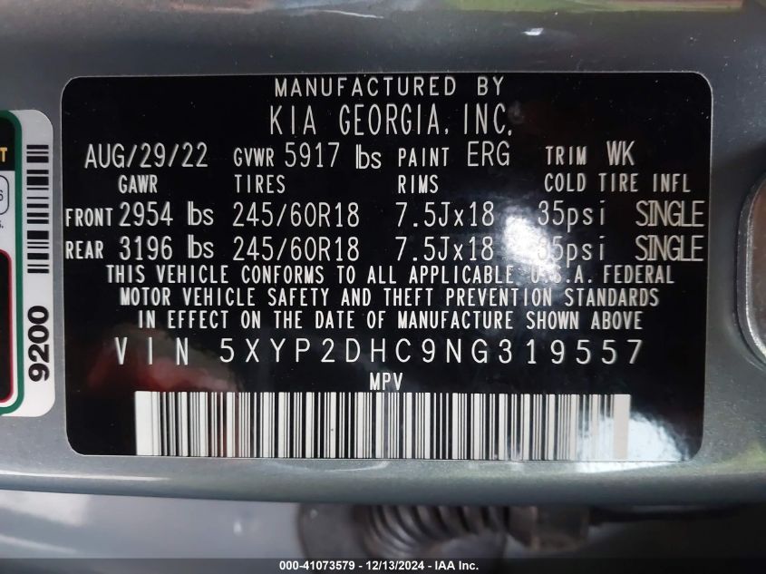 2022 Kia Telluride Lx VIN: 5XYP2DHC9NG319557 Lot: 41073579