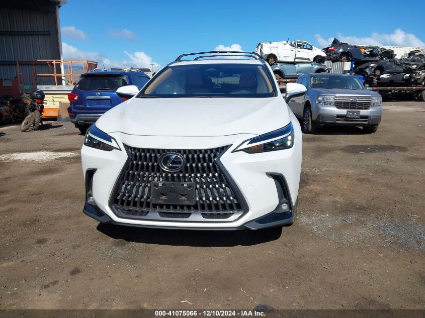 VIN JTJGDCAZ0N5001223 2022 Lexus NX 250, Premium no.12