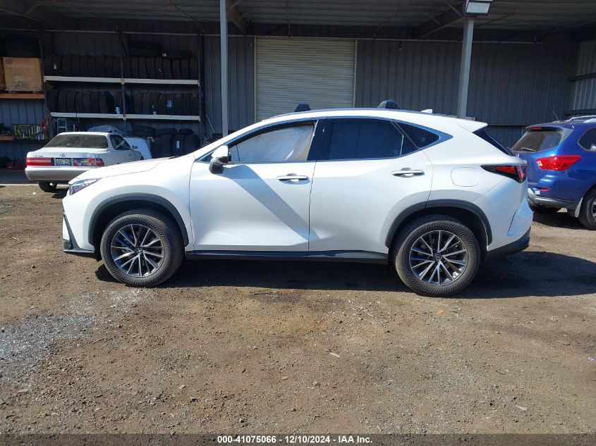 VIN JTJGDCAZ0N5001223 2022 Lexus NX 250, Premium no.14