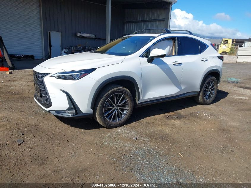 VIN JTJGDCAZ0N5001223 2022 Lexus NX 250, Premium no.2