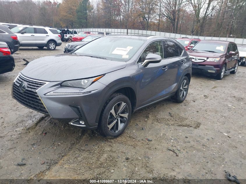 VIN JTJGARBZ1L5010987 2020 Lexus NX 300 no.2