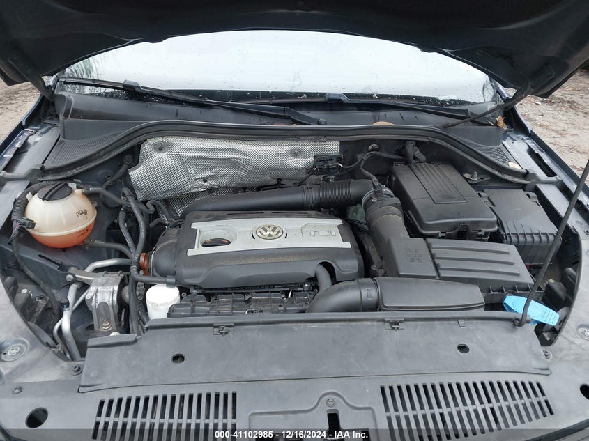 2013 VOLKSWAGEN TIGUAN VIN: WVGBV7AX1DW509981