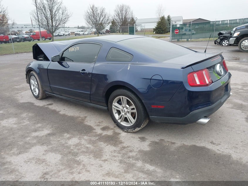 2011 FORD MUSTANG VIN: 1ZVBP8AM9B5105773