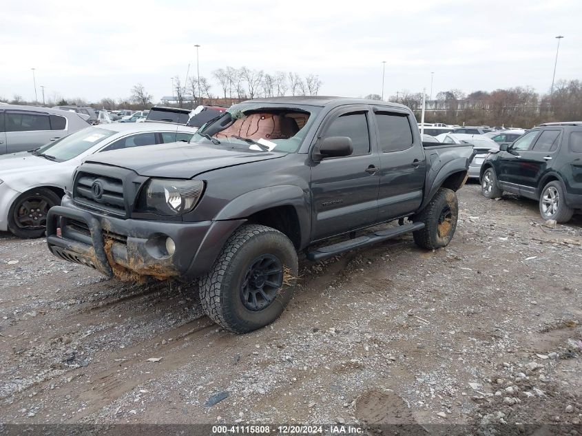 2009 Toyota Tacoma Base V6 VIN: 3TMLU42N49M025012 Lot: 41115808