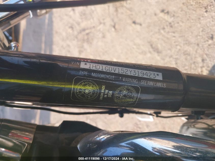 2002 Harley-Davidson Fxdl VIN: 1HD1GDV152Y319423 Lot: 41119098