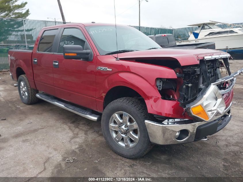 2013 FORD F-150 XLT - 1FTFW1EF5DKD14801