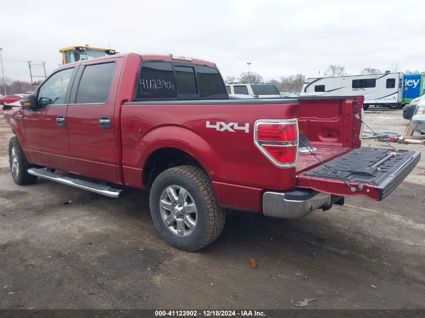 2013 FORD F-150 XLT - 1FTFW1EF5DKD14801