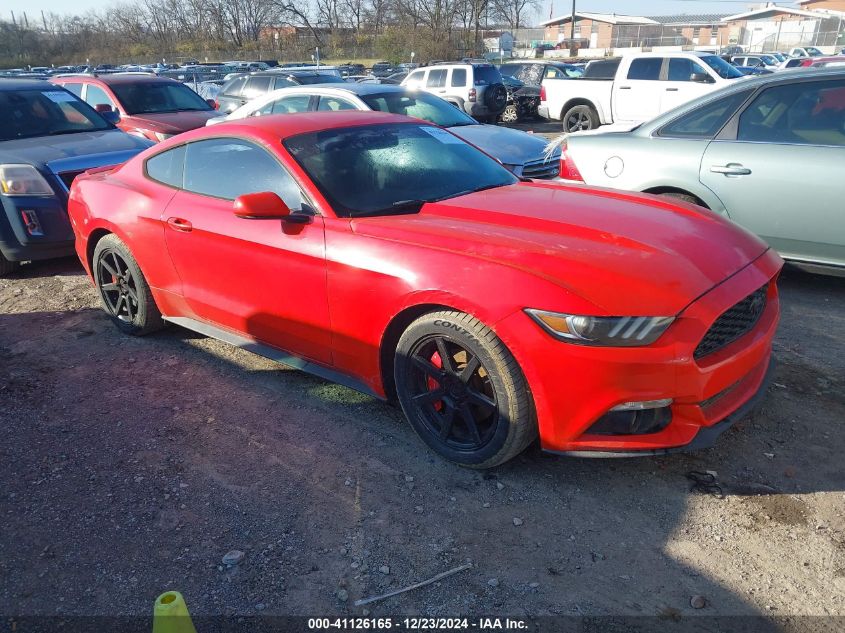 VIN 1FA6P8AM4G5264721 2016 FORD MUSTANG no.1