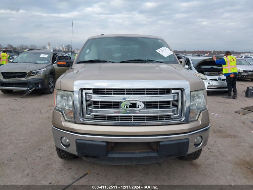 VIN 1FTFX1EF5DKD42465 2013 FORD F-150 no.12