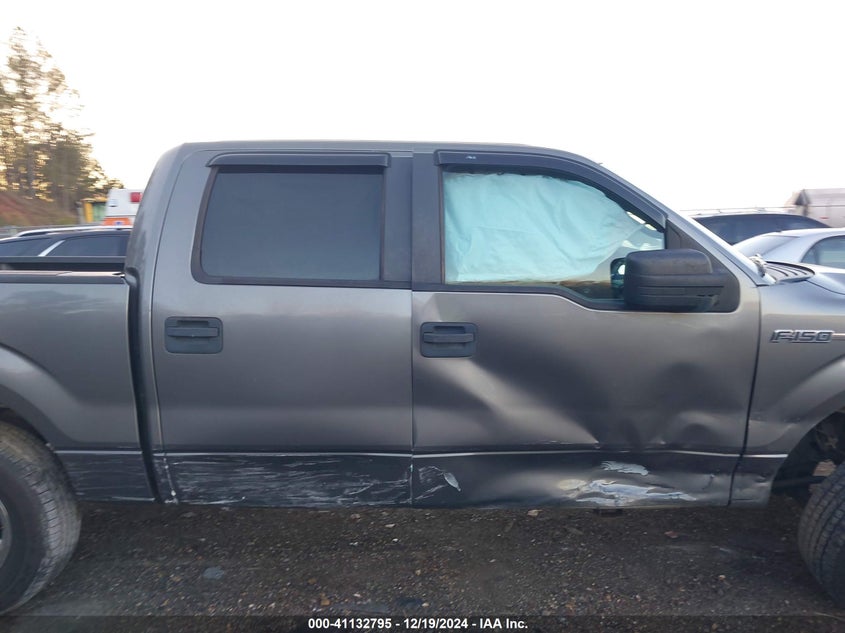 2010 Ford F-150 Fx2 Sport/Xl/Xlt VIN: 1FTEW1C85AFC44897 Lot: 41132795