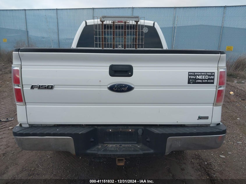 2010 FORD F150 VIN: 1FTFW1EV4AFD68862