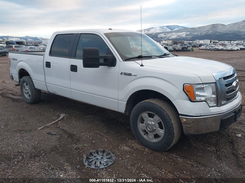 2010 FORD F150 VIN: 1FTFW1EV4AFD68862