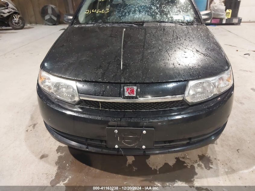 2004 Saturn Ion 2 VIN: 1G8AZ52F54Z173372 Lot: 41163238