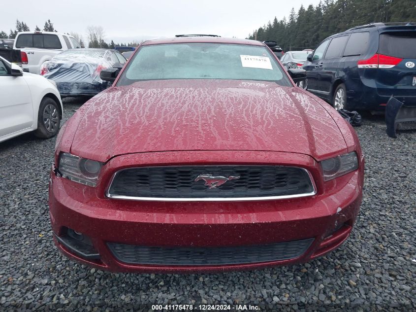 2014 FORD MUSTANG V6 - 1ZVBP8AM7E5269821