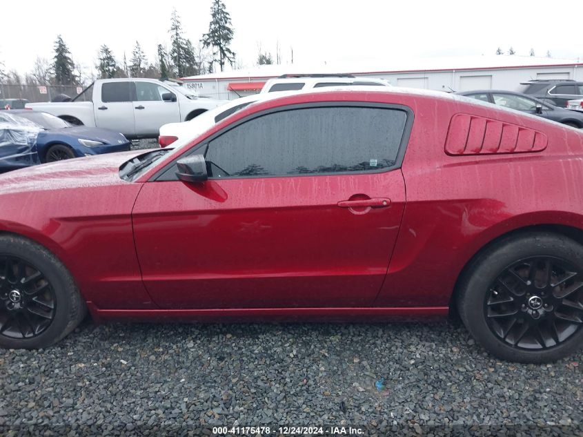 2014 FORD MUSTANG V6 - 1ZVBP8AM7E5269821