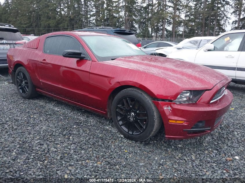 VIN 1ZVBP8AM7E5269821 2014 Ford Mustang, V6 no.1