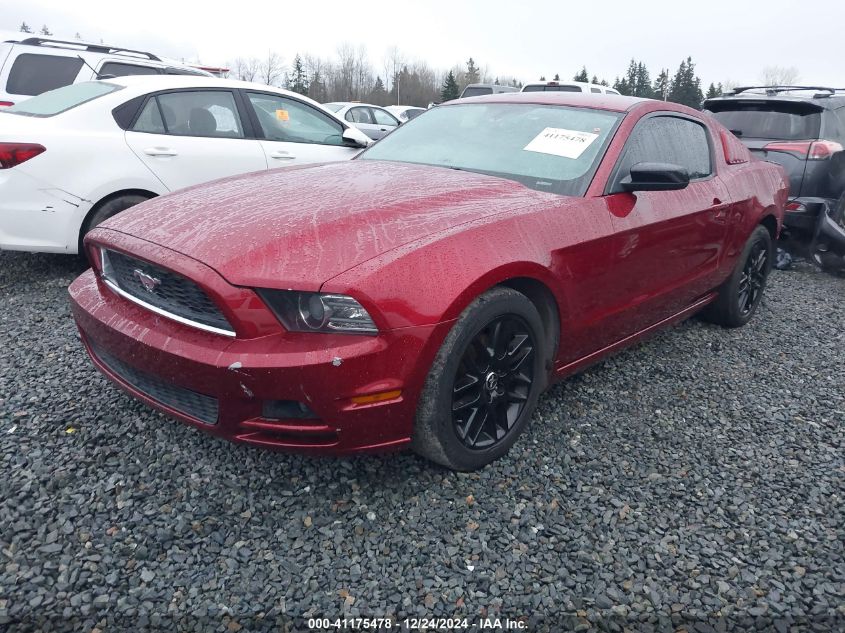 VIN 1ZVBP8AM7E5269821 2014 Ford Mustang, V6 no.2