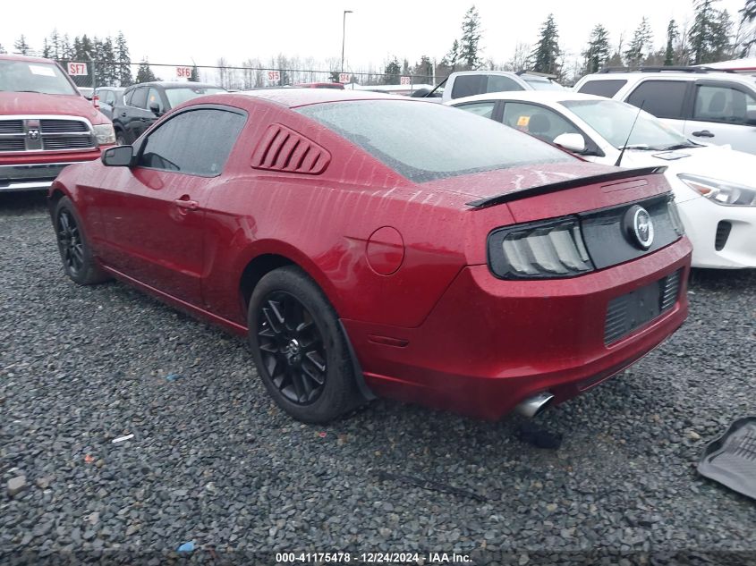 VIN 1ZVBP8AM7E5269821 2014 Ford Mustang, V6 no.3