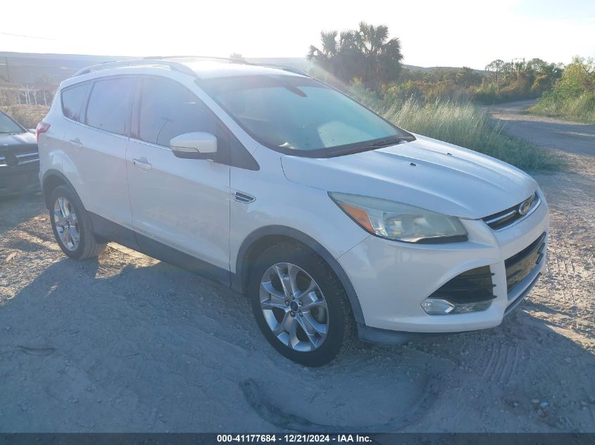 VIN 1FMCU0JXXEUA66872 2014 FORD ESCAPE no.1