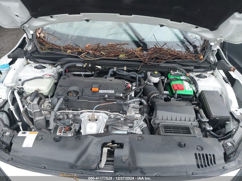 2019 HONDA CIVIC VIN: 2HGFC2F67KH572384