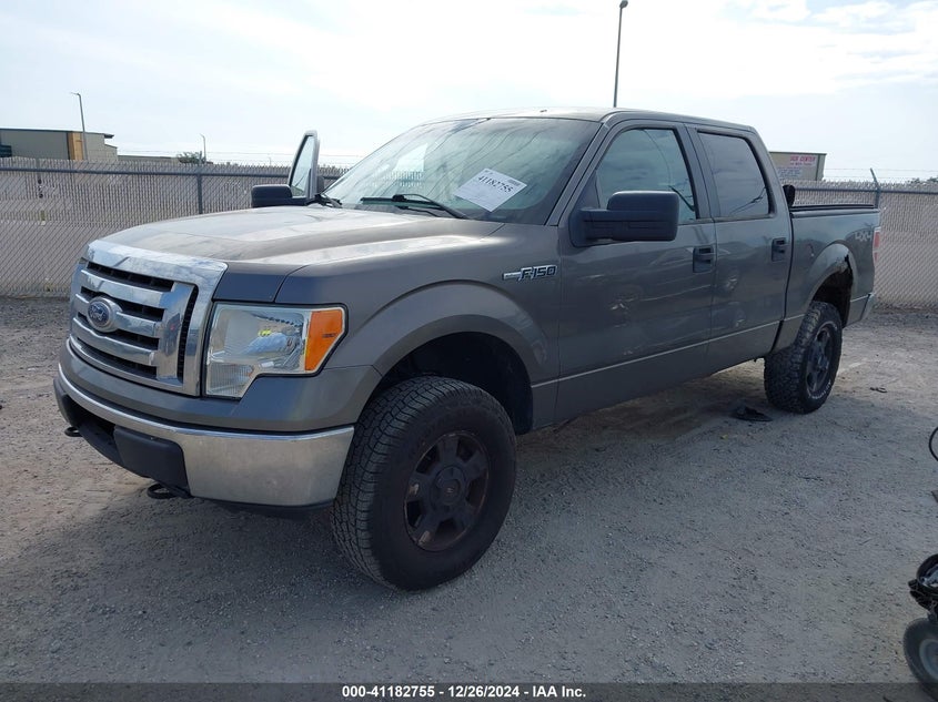 2010 FORD F-150 VIN: 1FTEW1E87AFB31174