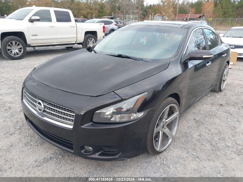 2010 Nissan Maxima 3.5 Sv VIN: 1N4AA5AP3AC841066 Lot: 41183635