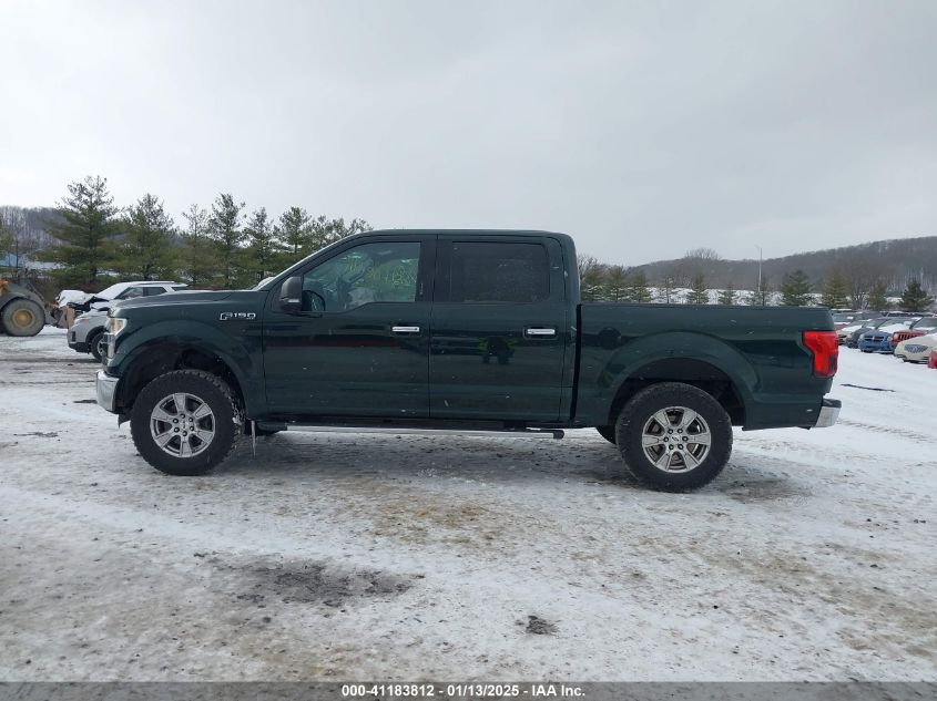 VIN 1FTEW1EP4GFA99042 2016 Ford F-150, Xlt no.14