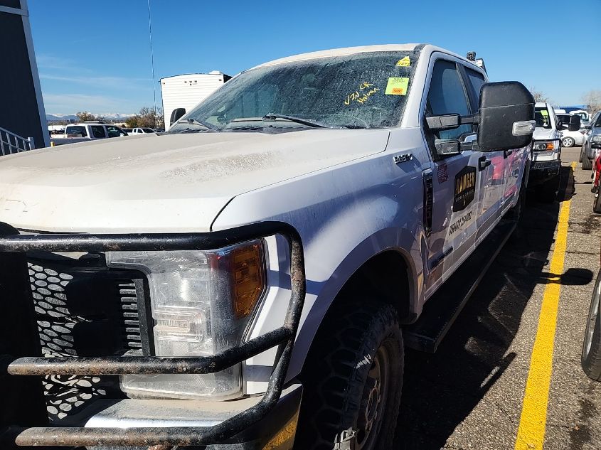 2017 Ford F250 Super Duty VIN: 1FT7W2BT9HEE20743 Lot: 41185717