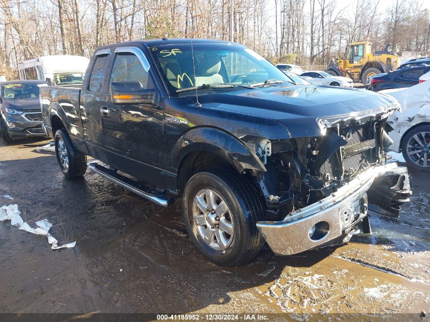 2013 FORD F-150 XLT - 1FTFX1EF3DFB88816