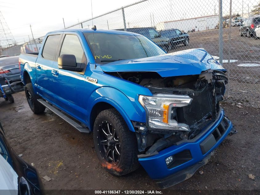 2019 FORD F-150 XLT - 1FTEW1EP9KFC43502