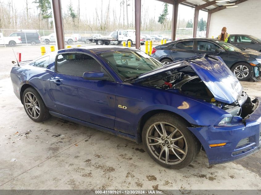 VIN 1ZVBP8CF8E5281541 2014 FORD MUSTANG no.13