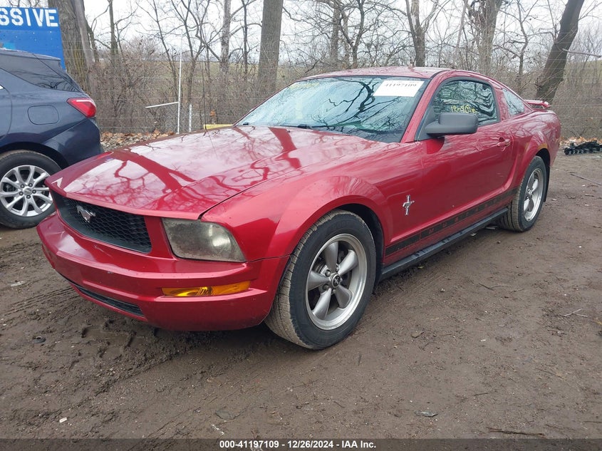 2006 FORD MUSTANG VIN: 1ZVFT80NX65265819