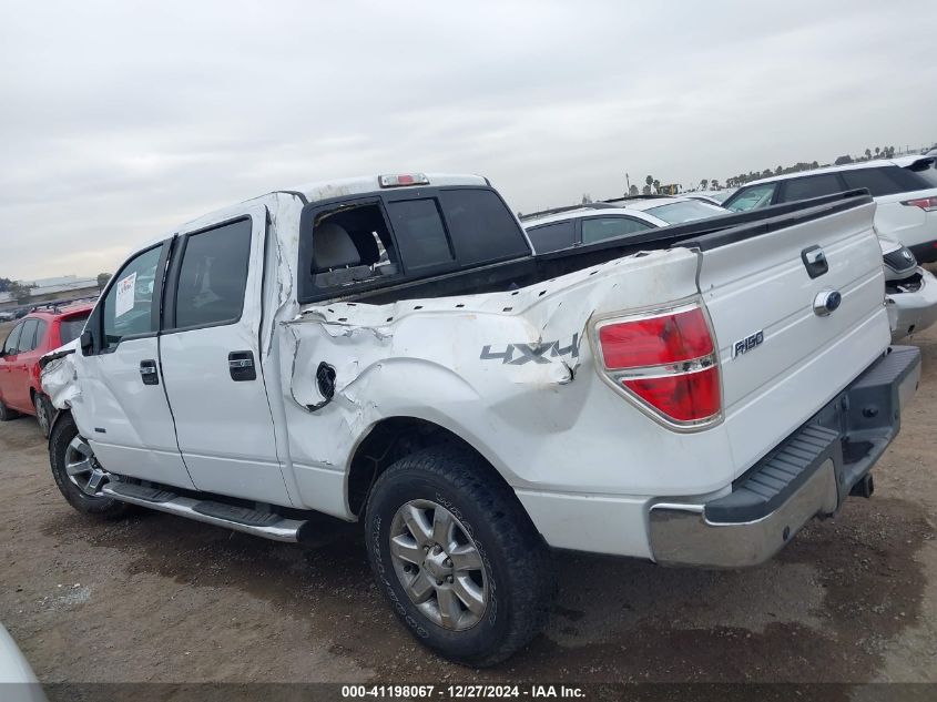 2013 FORD F-150 XLT - 1FTFW1ET6DKE98622