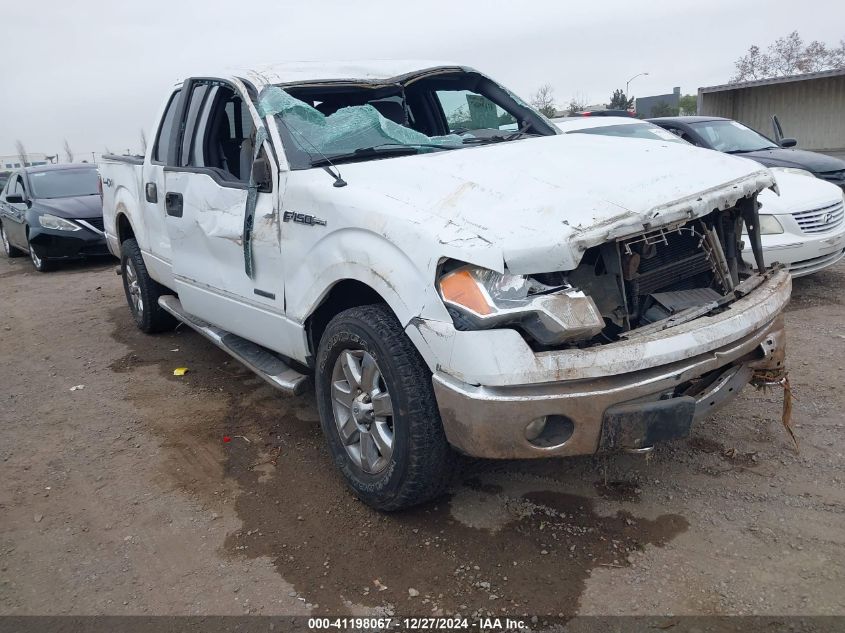 2013 FORD F-150 XLT - 1FTFW1ET6DKE98622