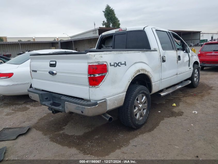 2013 FORD F-150 XLT - 1FTFW1ET6DKE98622