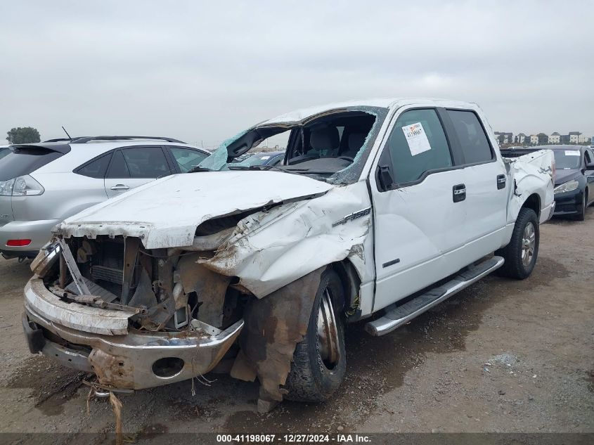 2013 FORD F-150 XLT - 1FTFW1ET6DKE98622